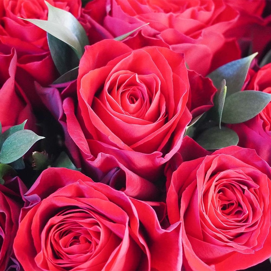 最高級の赤バラで愛をこめて ダズンローズブーケ 送料込み よいはな Yoihana 最高品質のお花をお届けするネット通販