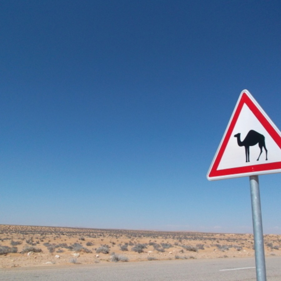 チュニジア南部ならではの標識・ラクダに注意