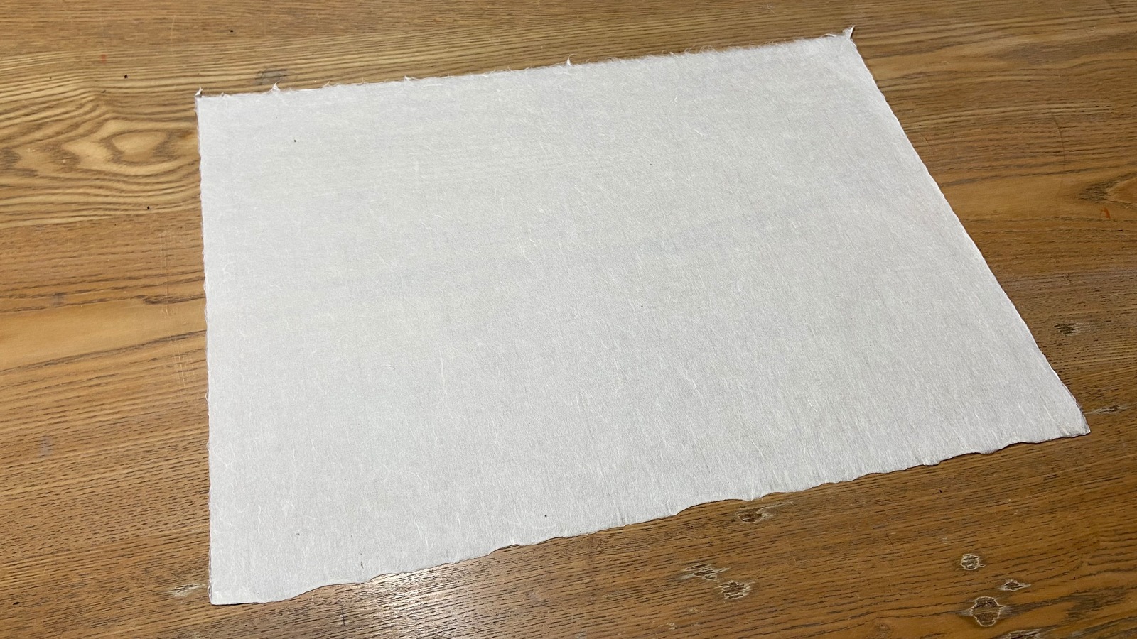 楮。繊維が長いため丈夫な紙となる。和紙といえこれ！と思う人が多いはず。