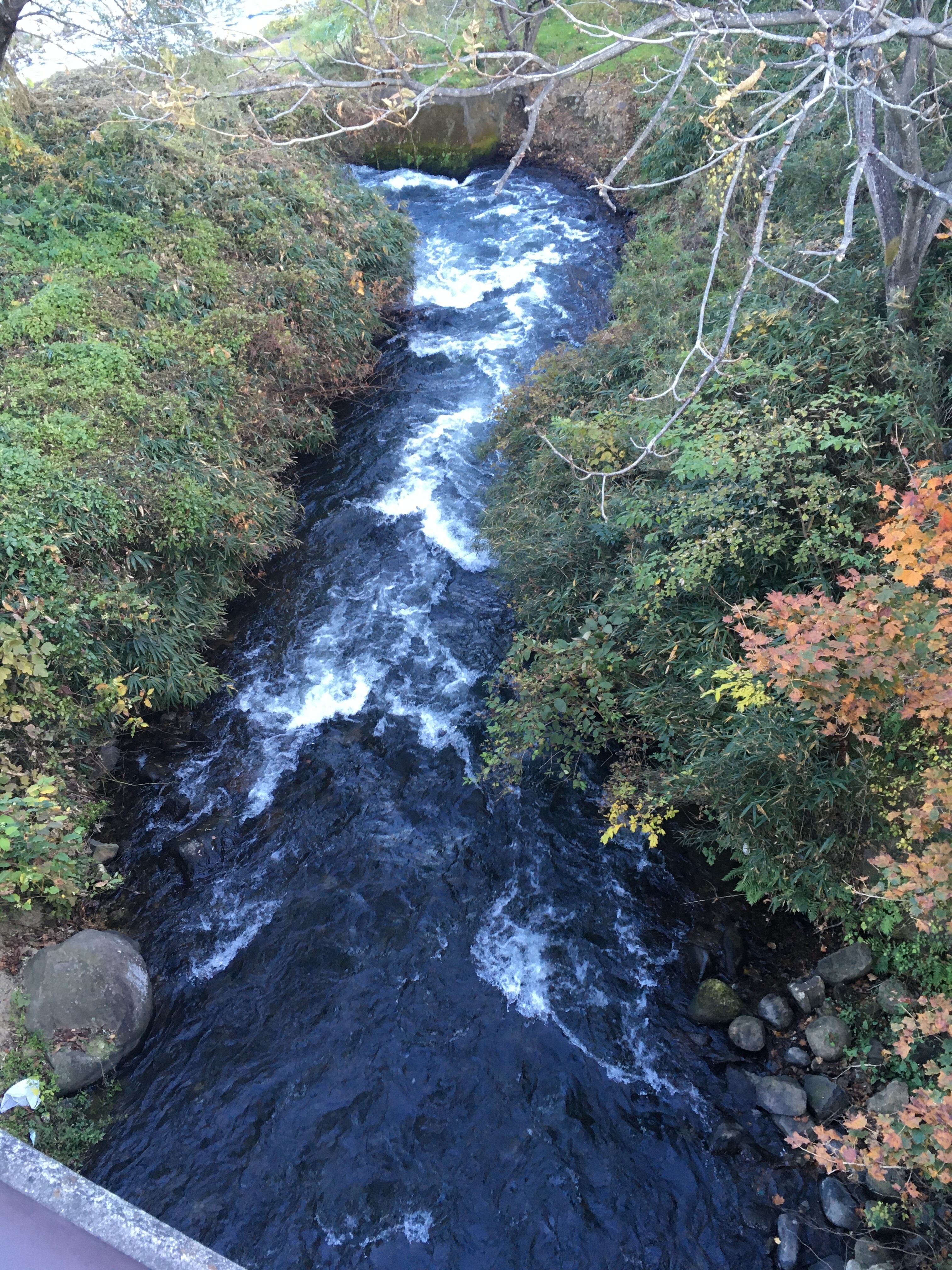 左写真の右手から下を覗いた様子。どこで鰻と蜘蛛の激闘が行われたのだろうか。