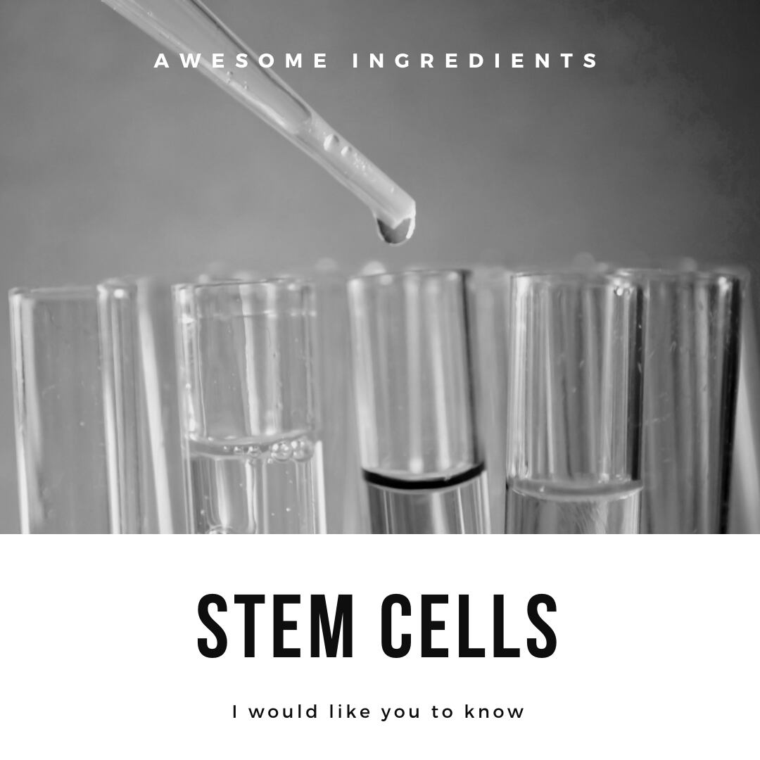 ヒト幹細胞培養液に含まれる成長因子が毛髪の成長、再生を手助けします。