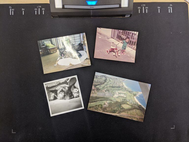 バラ写真も素早くスキャン