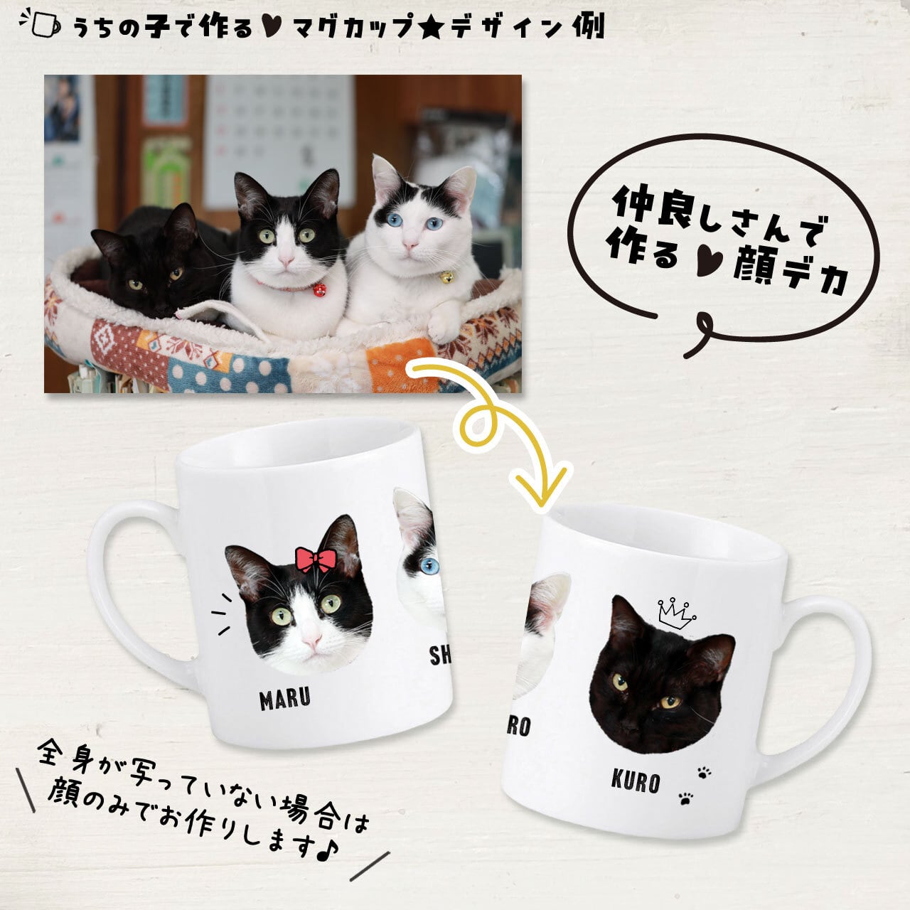愛猫の写真で作るマグカップ｜オフィスワークのパパへ！進学・就職する