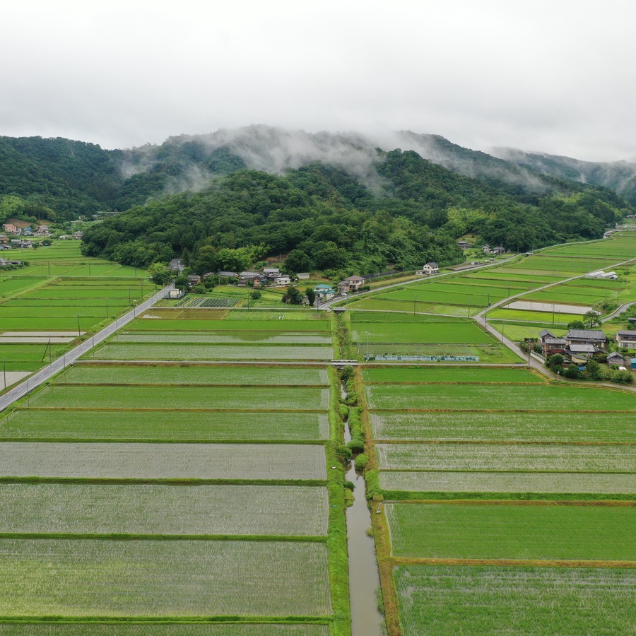 うちの田んぼをドローンで空撮！