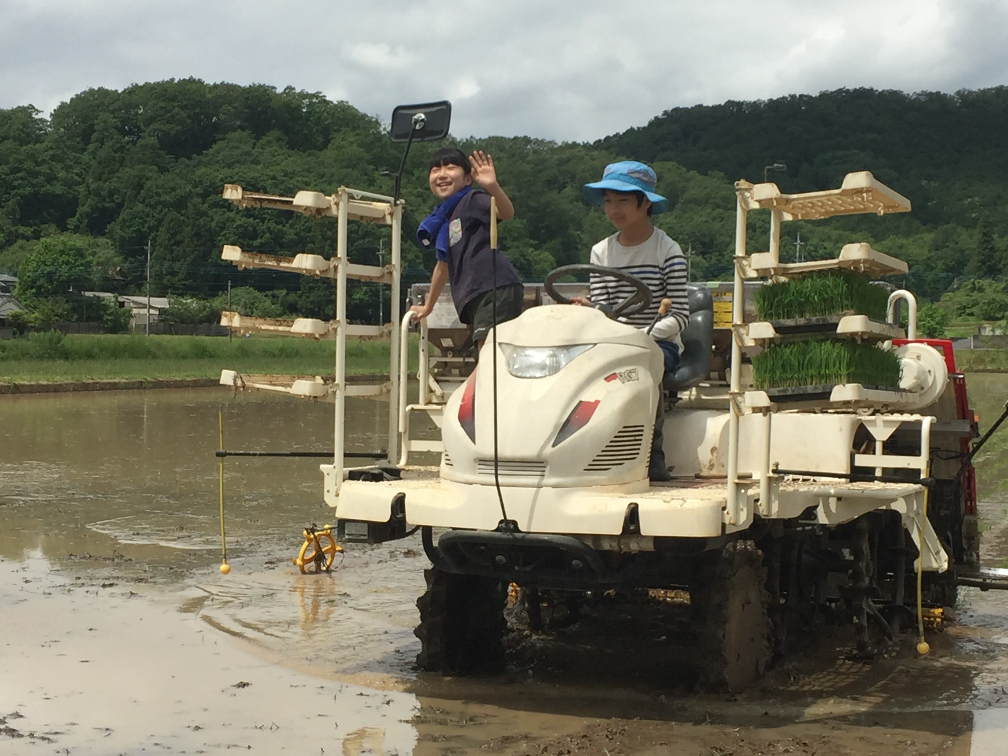 みんなで楽しく田植え作業！