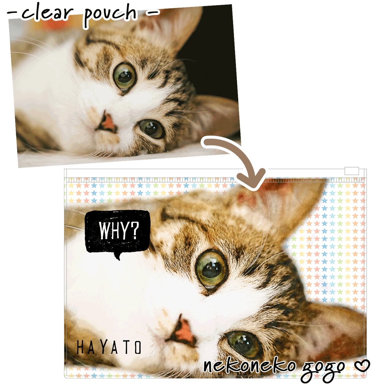 猫さん写真で作るクリアポーチ（猫 ネコ ねこ 愛猫写真で