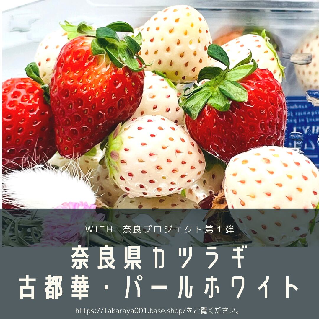 詰合せギフトセット いちごジャム 白いちごバター 宝屋本店with奈良プロジェクト 販売サイト