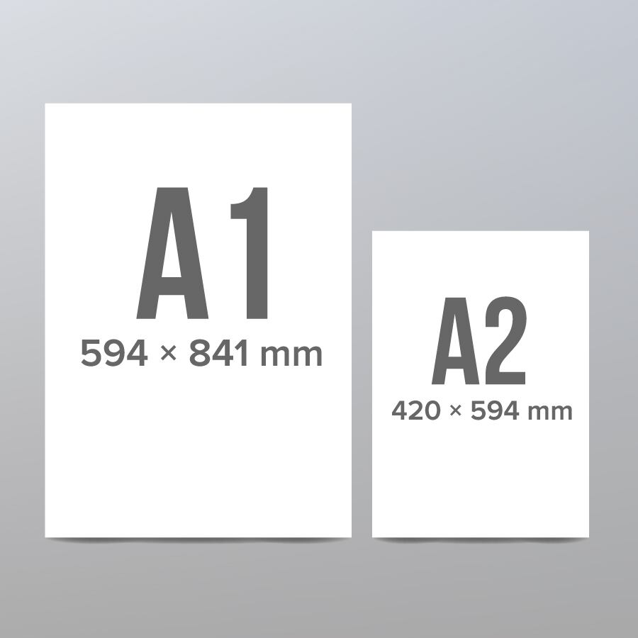 見開きA1またはA2サイズ【120枚以上は一律価格】 | ACTサービス