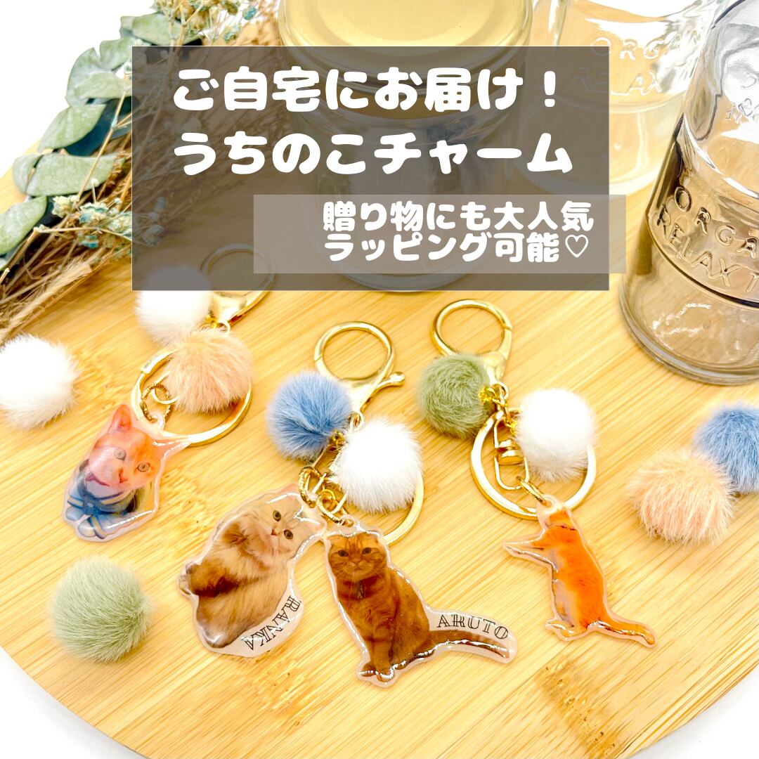 にゃんとうちのこがミニチャームに！