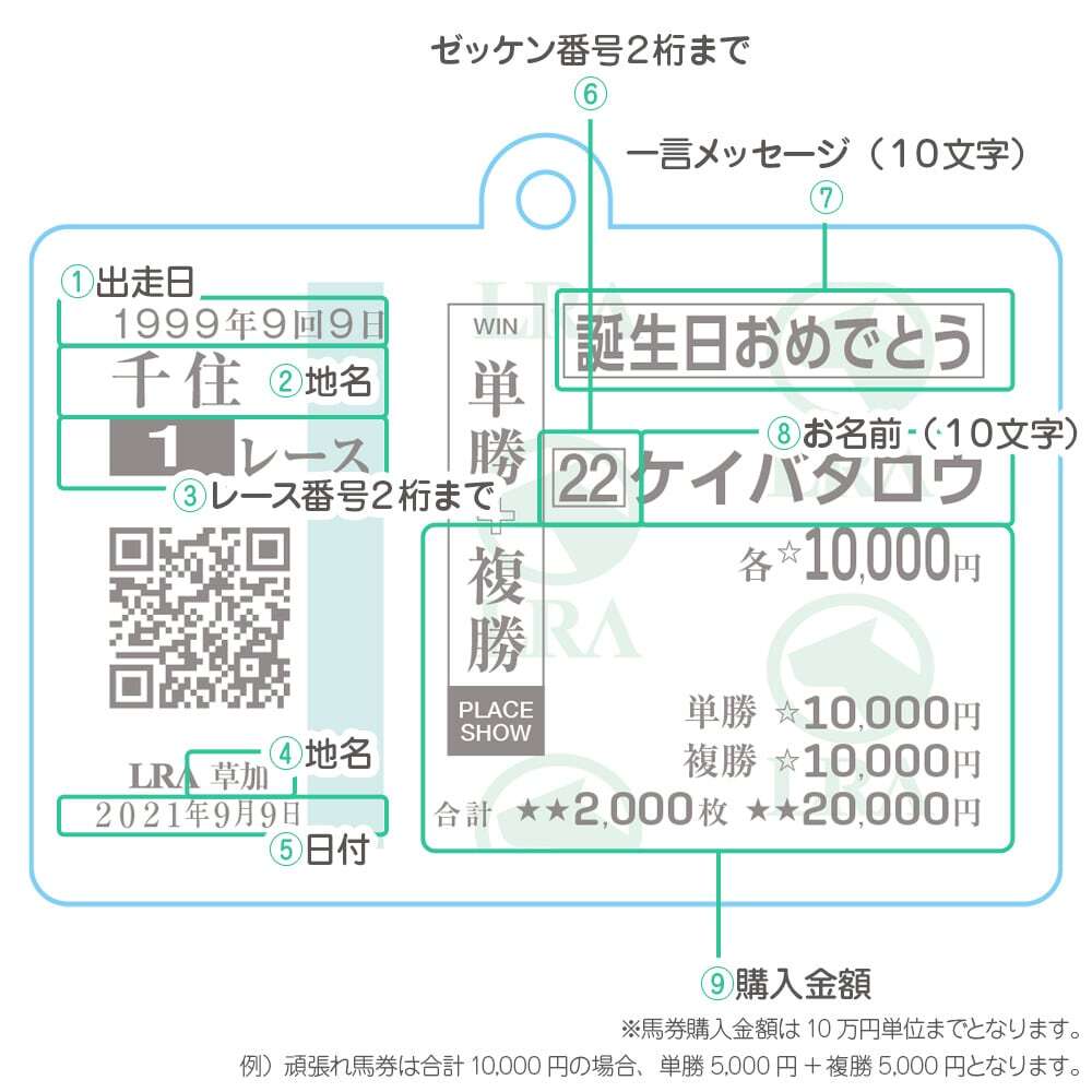文字の入力項目