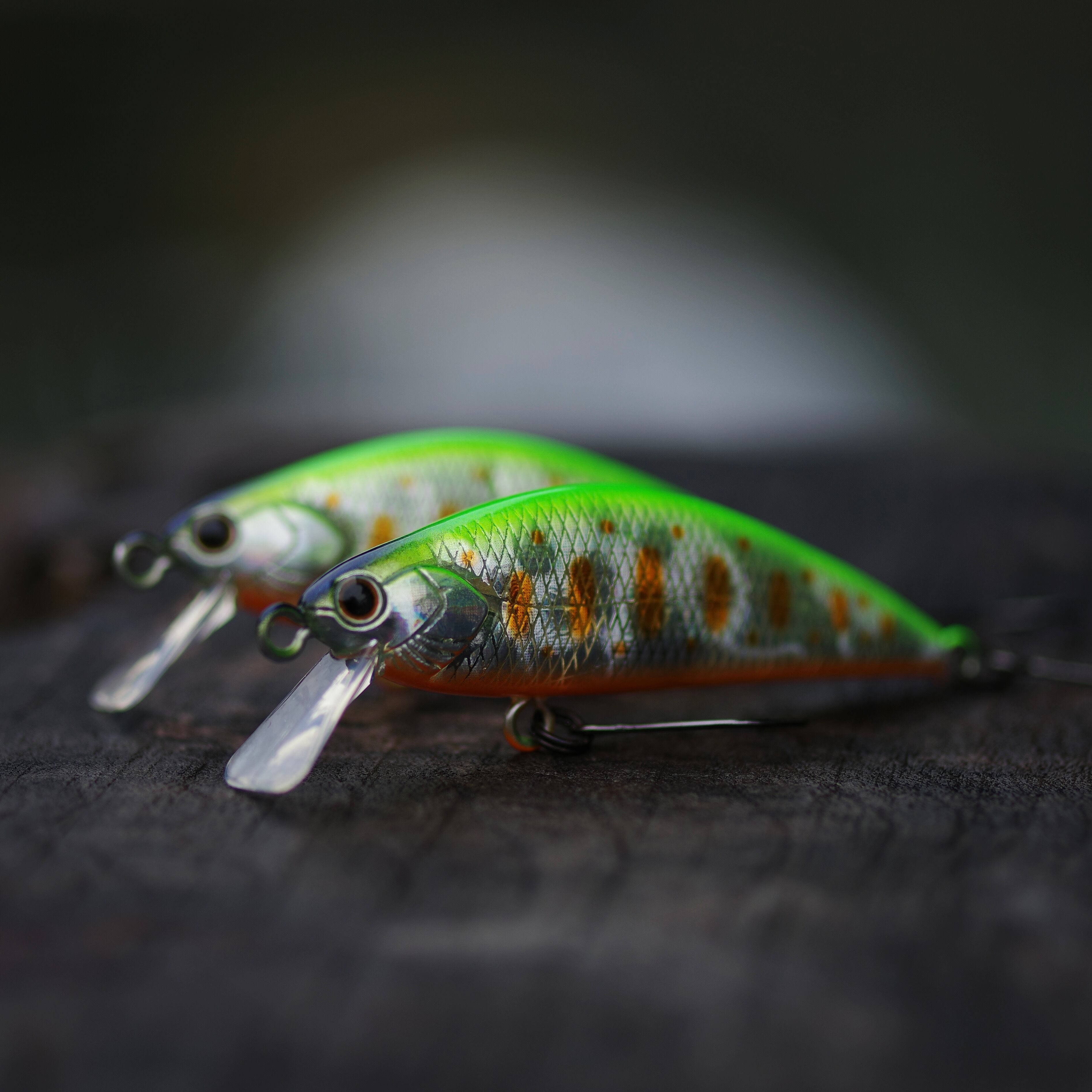 No.9 グリーンバックヤマメOB