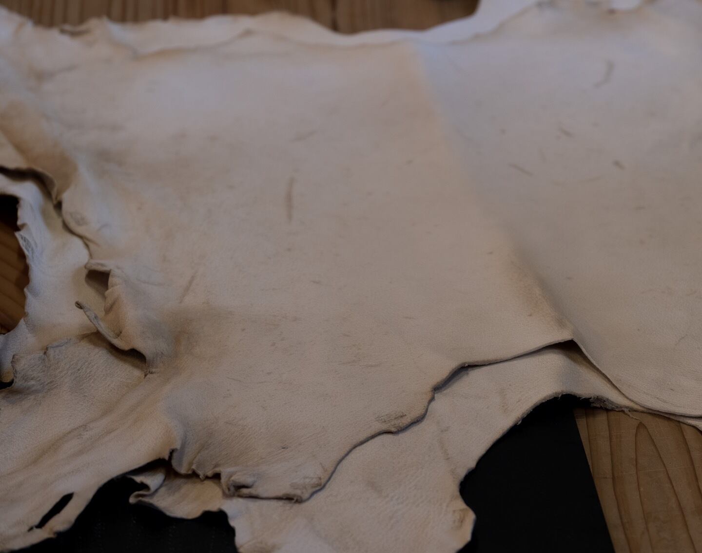 タテガミ　boar mane