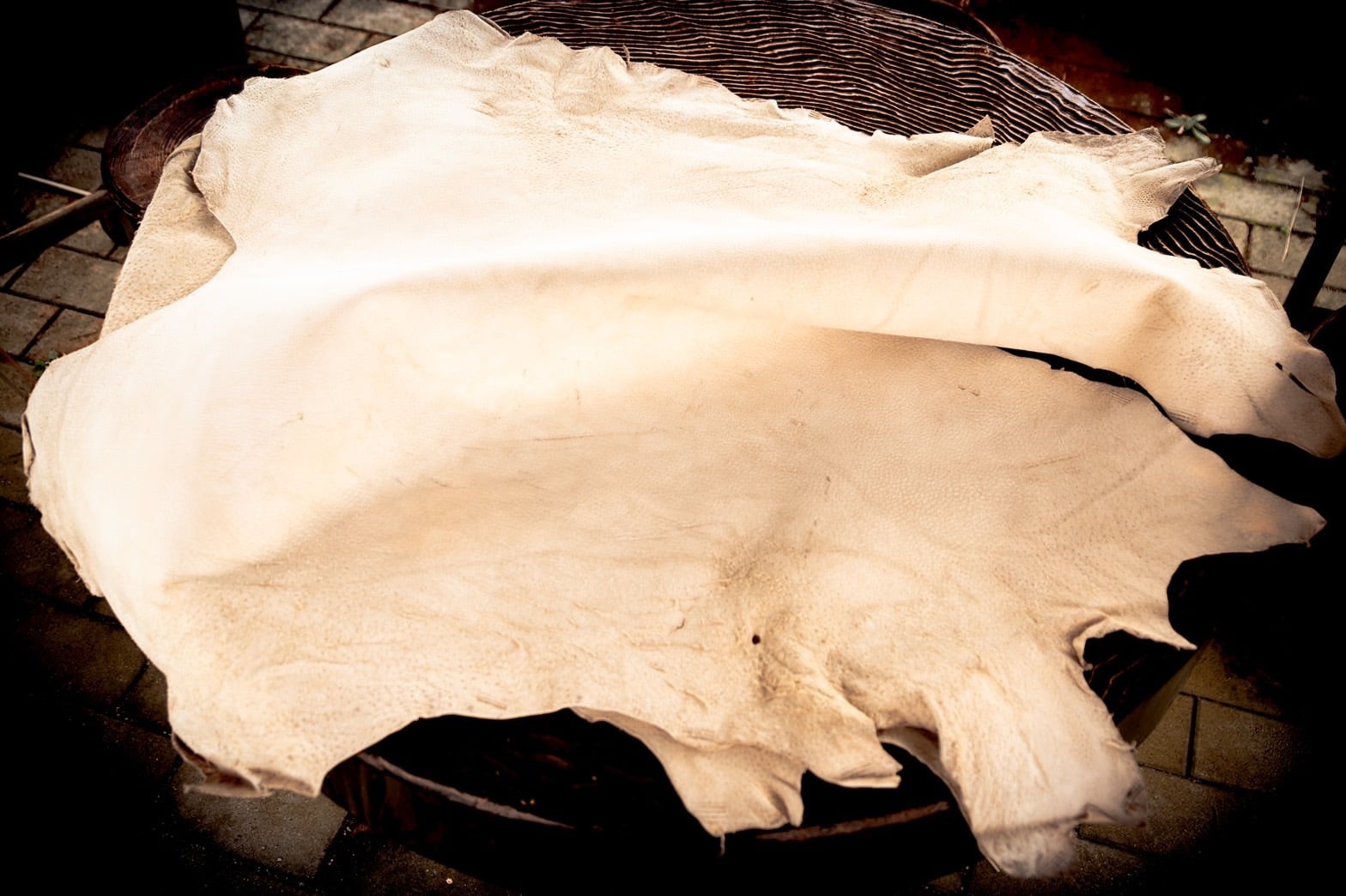 生きた証　natural stamp