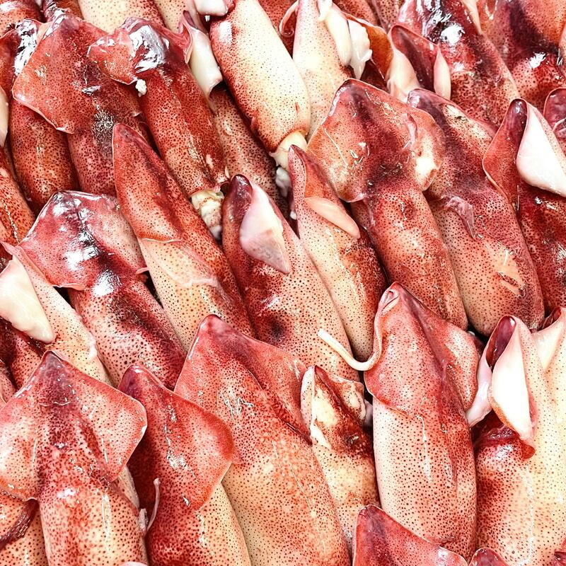 ボイルやりいか 3kg入り 【チルド業務用】おつまみ・サラダ・煮物
