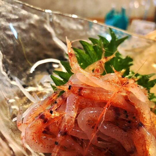 新鮮な桜エビ