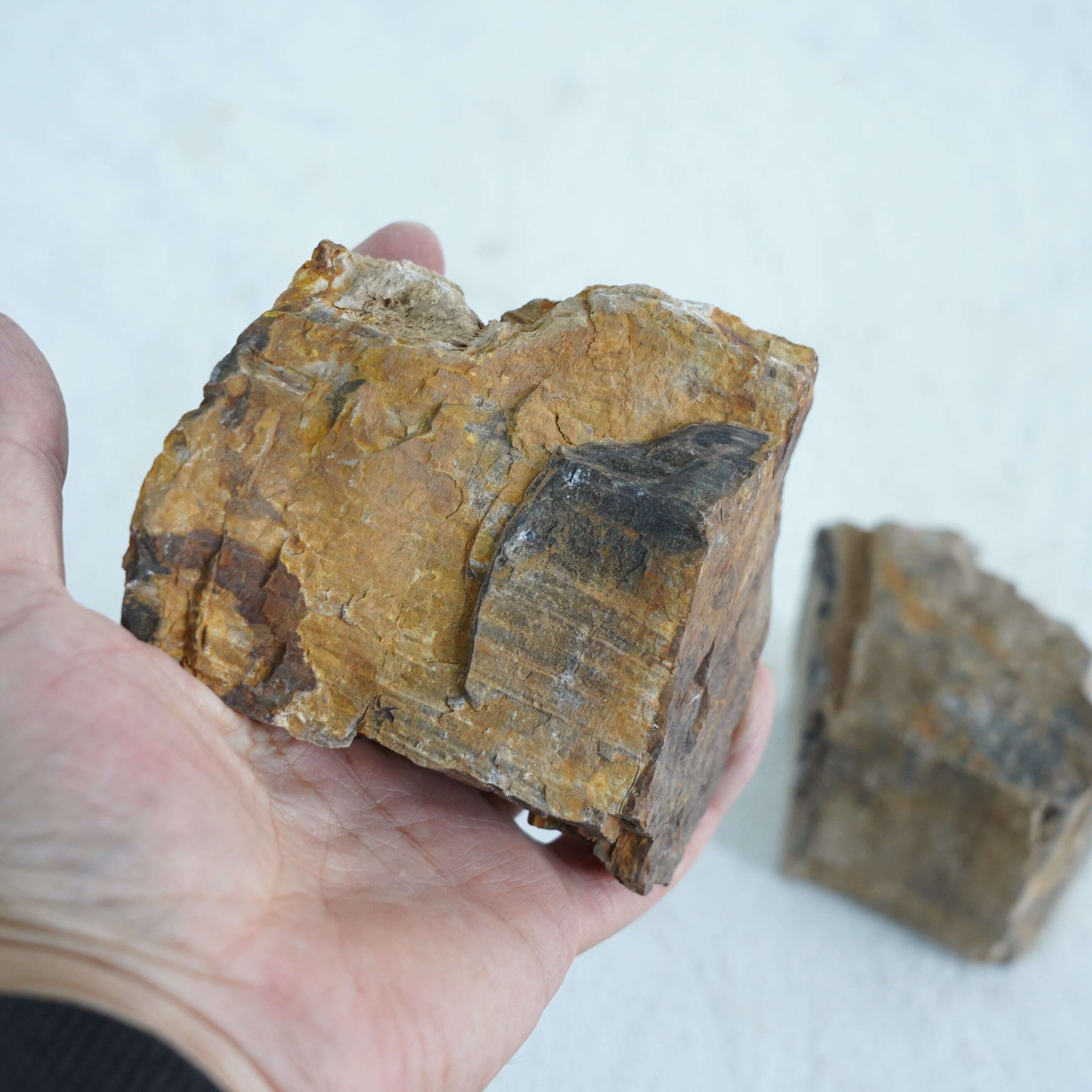 木化石 200g入り【レイアウト用・着生用】 | 苔テラリウム専門