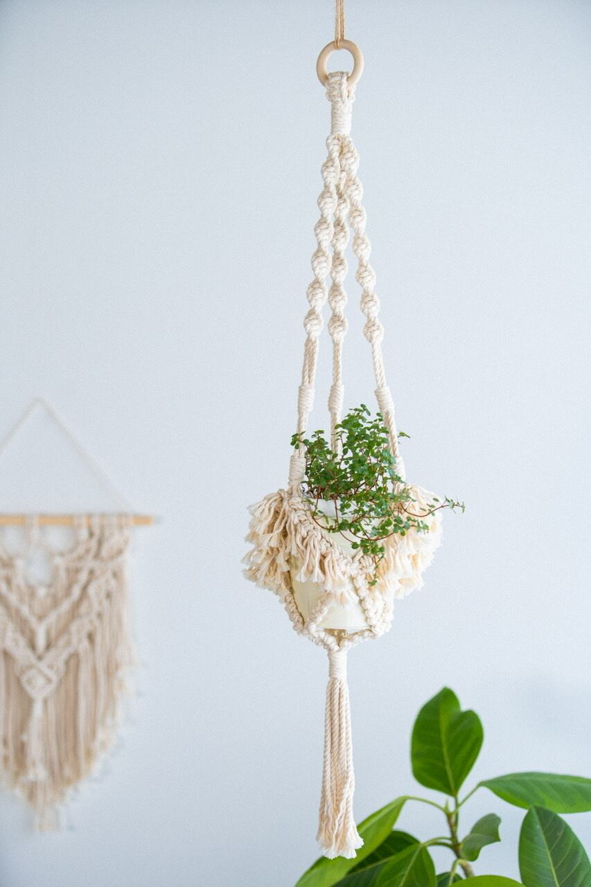 Lesson４　プラントハンガー