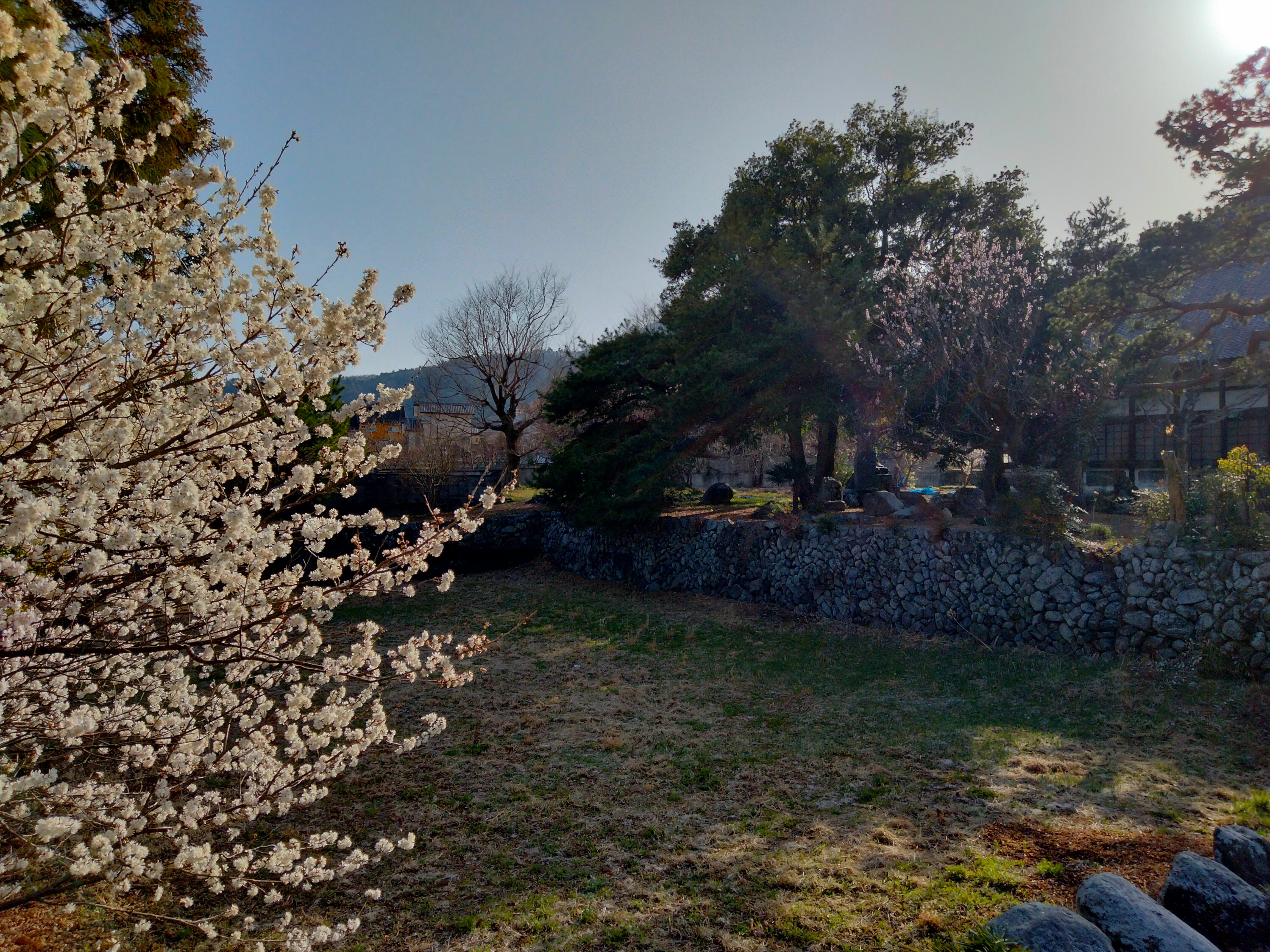 龍神親子が住んでいたとされる池。