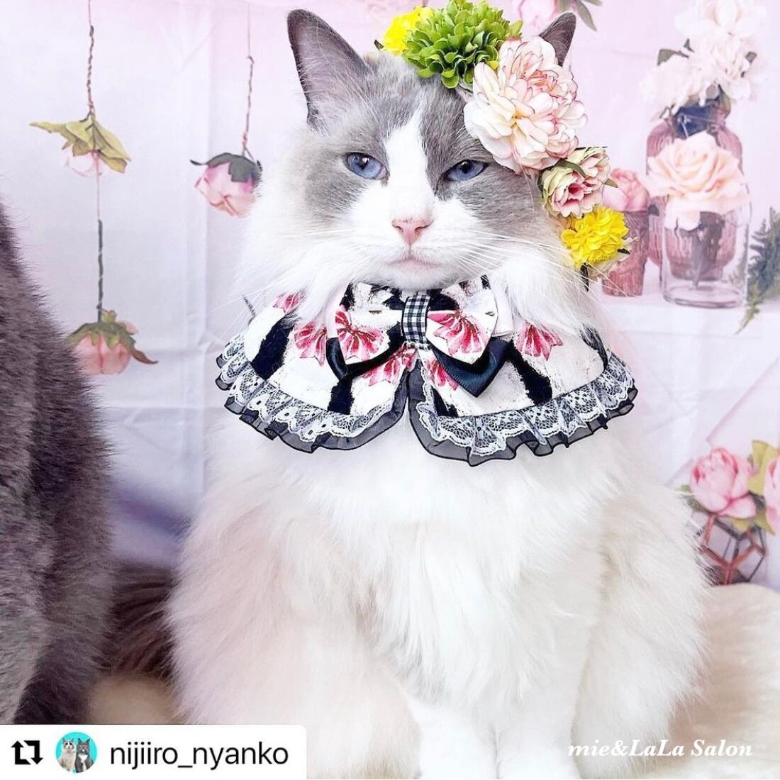 初代アンバサダー ニコちゃん