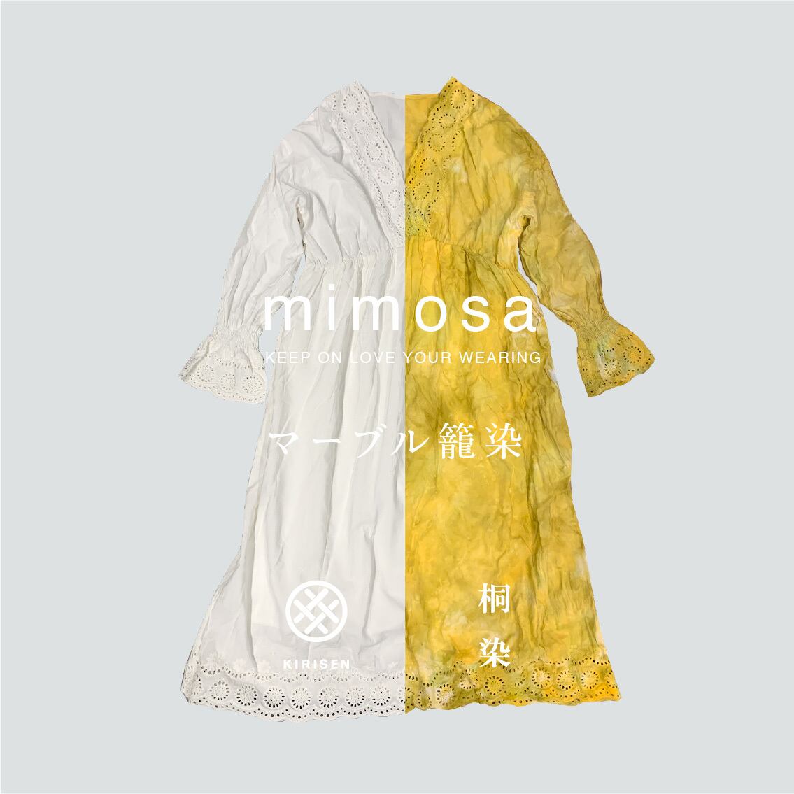 マーブルのご紹介です。