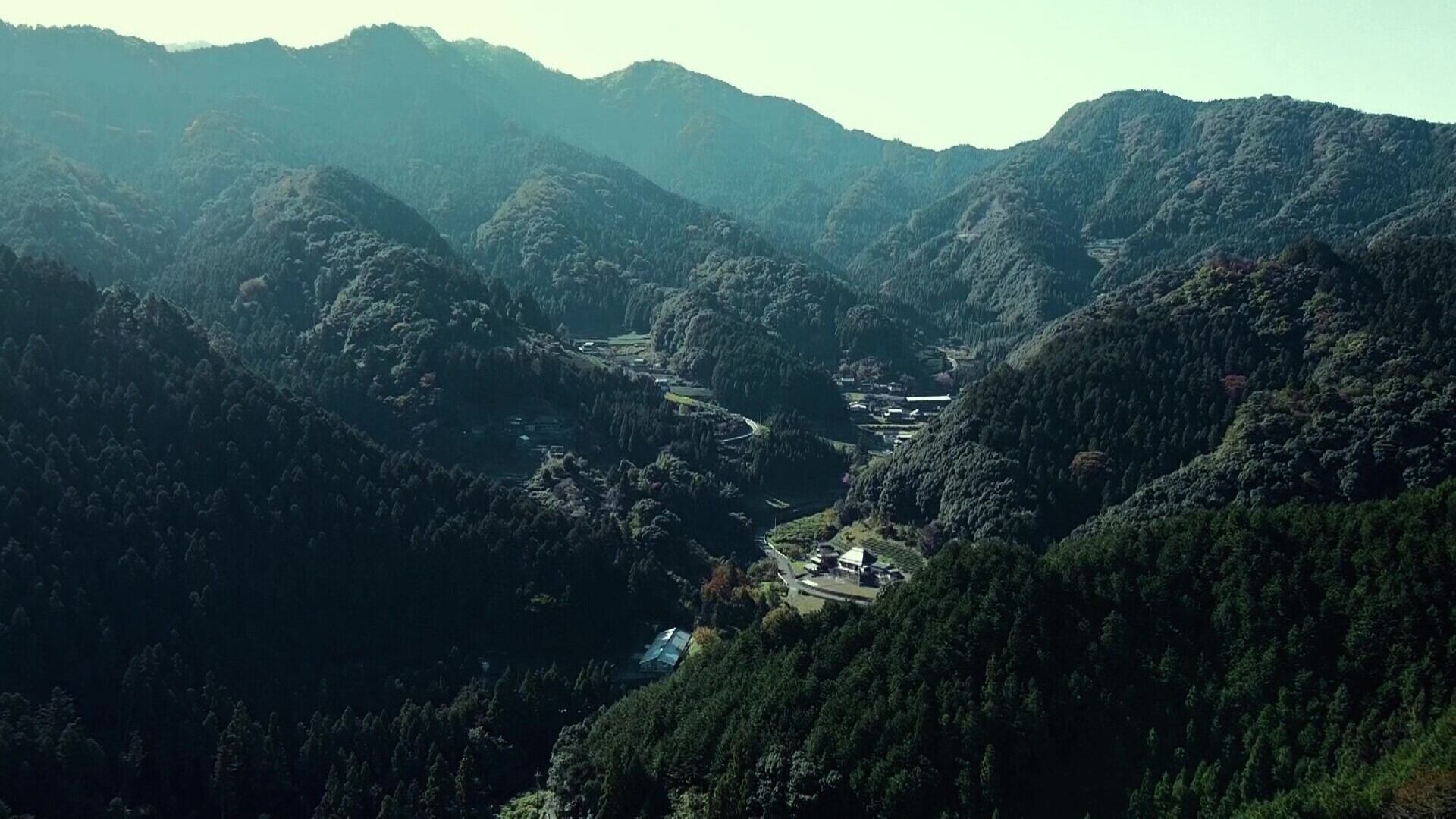 自然豊かな徳島県で育った阿波尾鶏