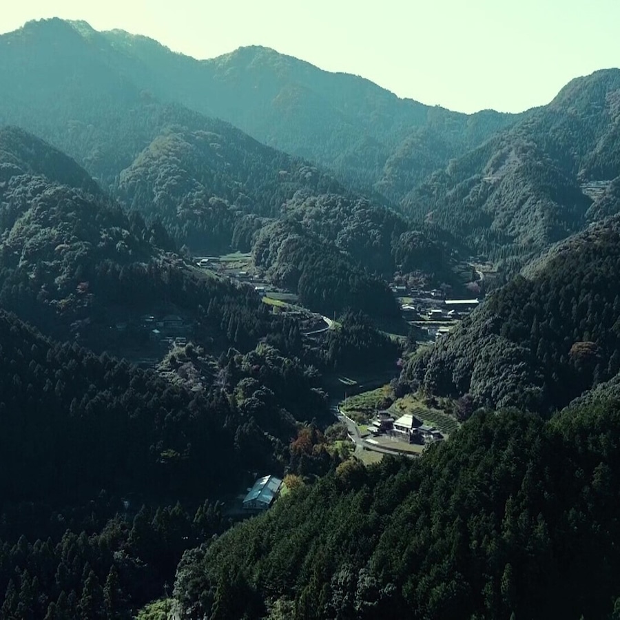 自然豊かな徳島県で育った阿波尾鶏