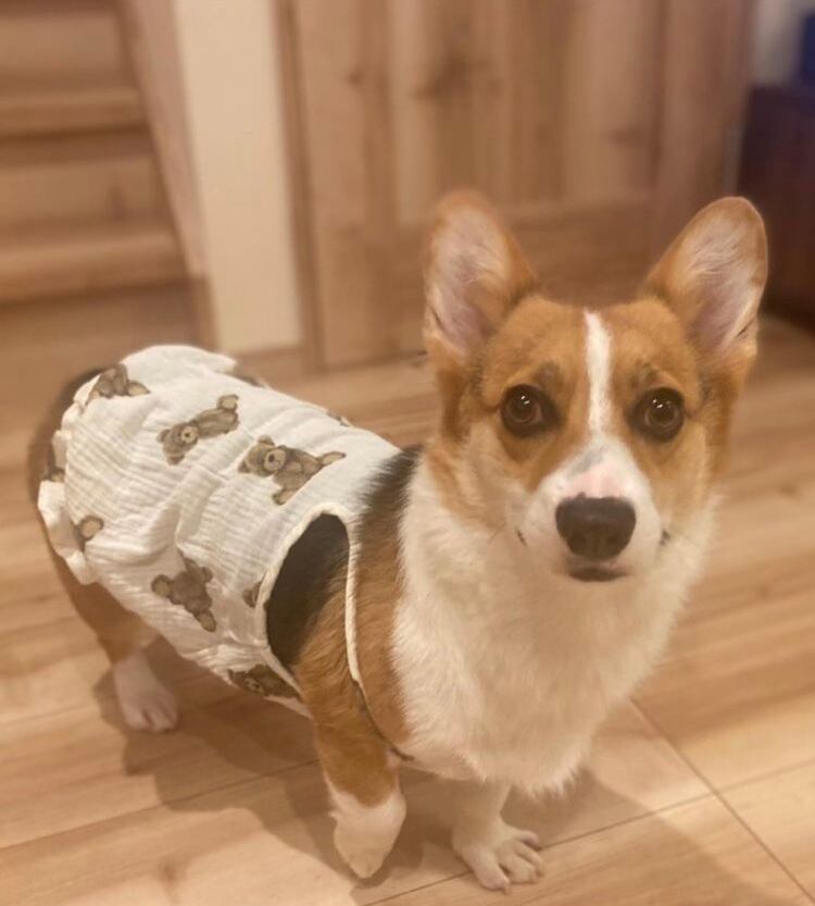 モニターモデル 咲耶ちゃん (Insta ID: at.hm.m4 様)