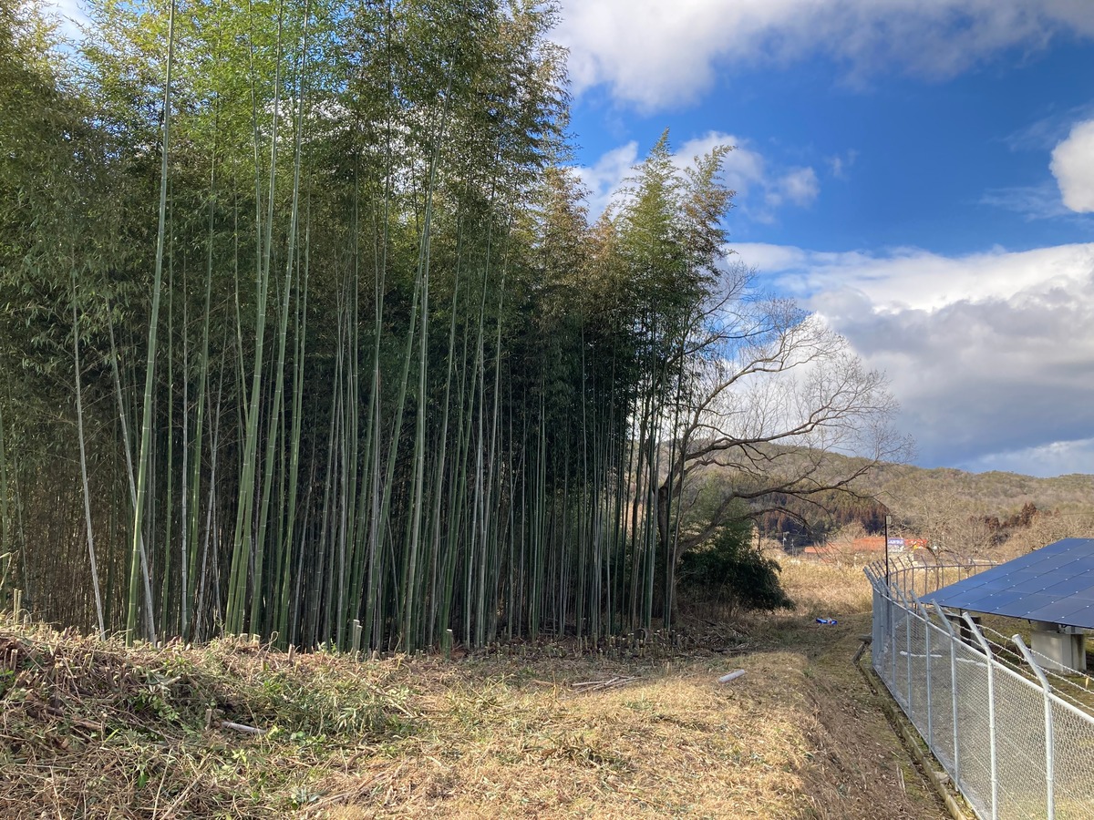 整備作業を通して出た竹材や木材を堆肥の原料に使用。里山の景観も美しく