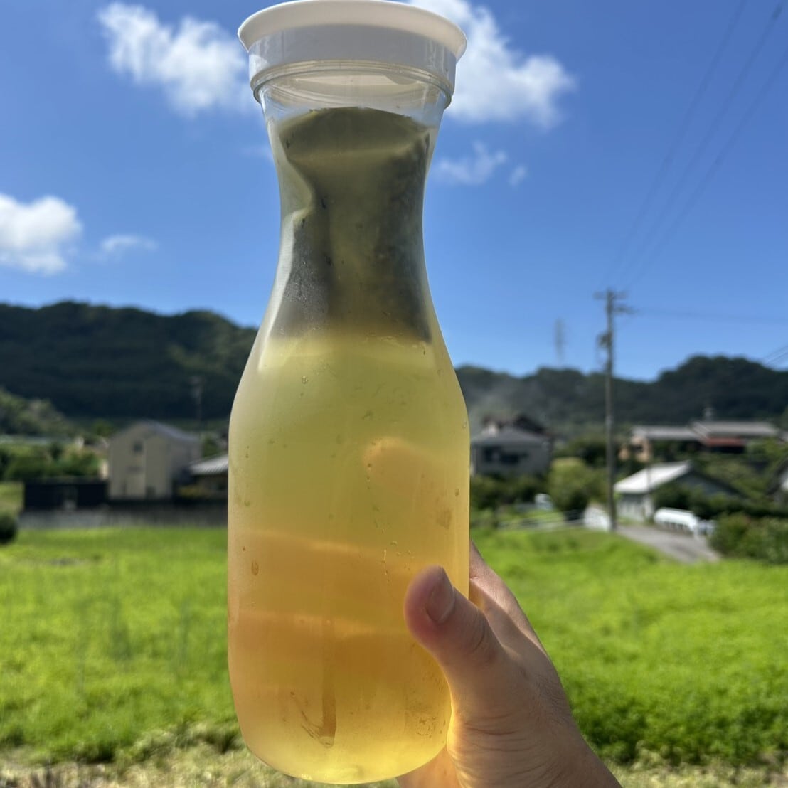 ゴクゴク飲めるﾃｨｰﾊﾞｯｸﾞ】創健番茶ティーバッグ 10g×15袋入 | お茶の