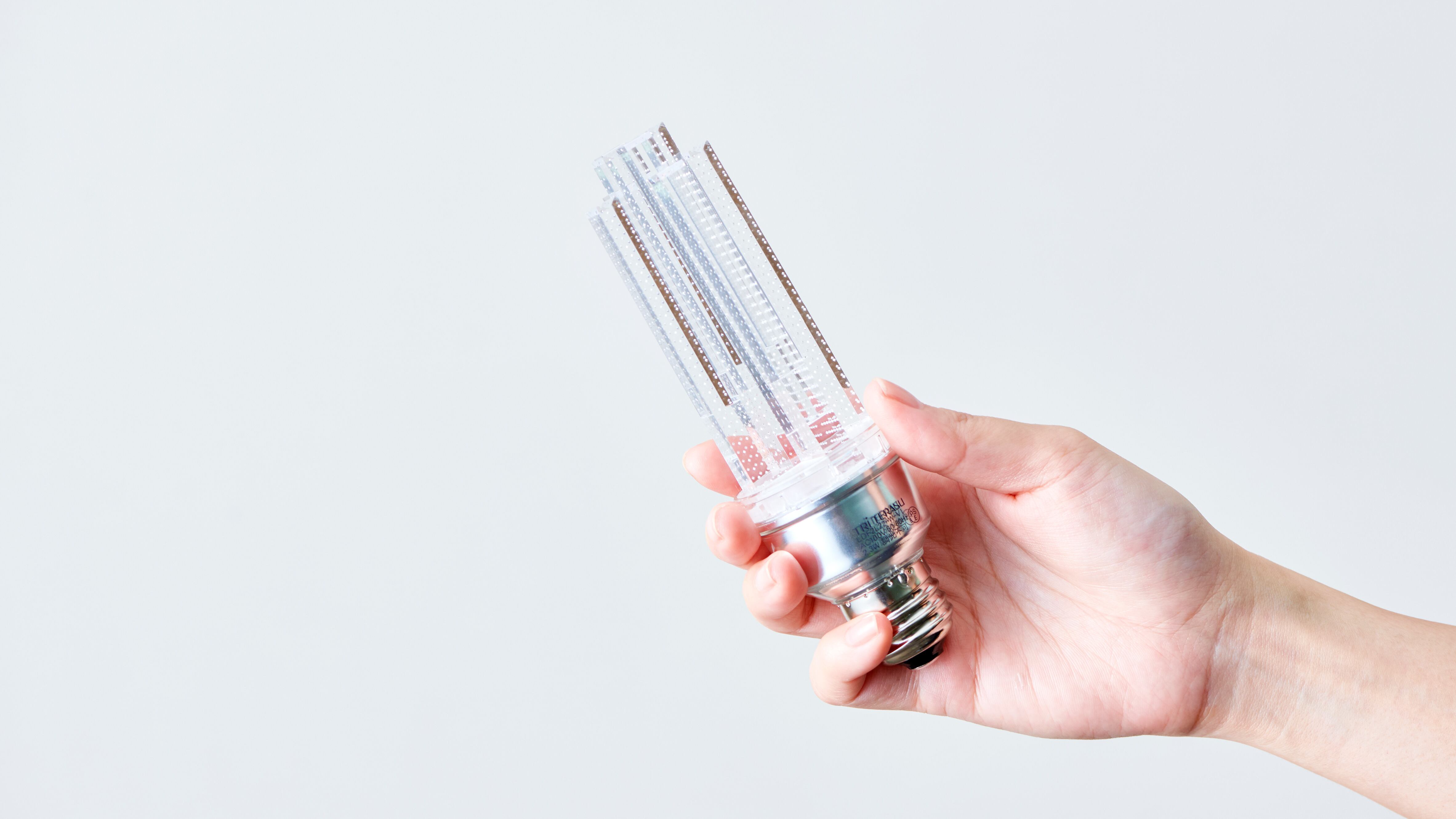 手のひらに収まるサイズ感