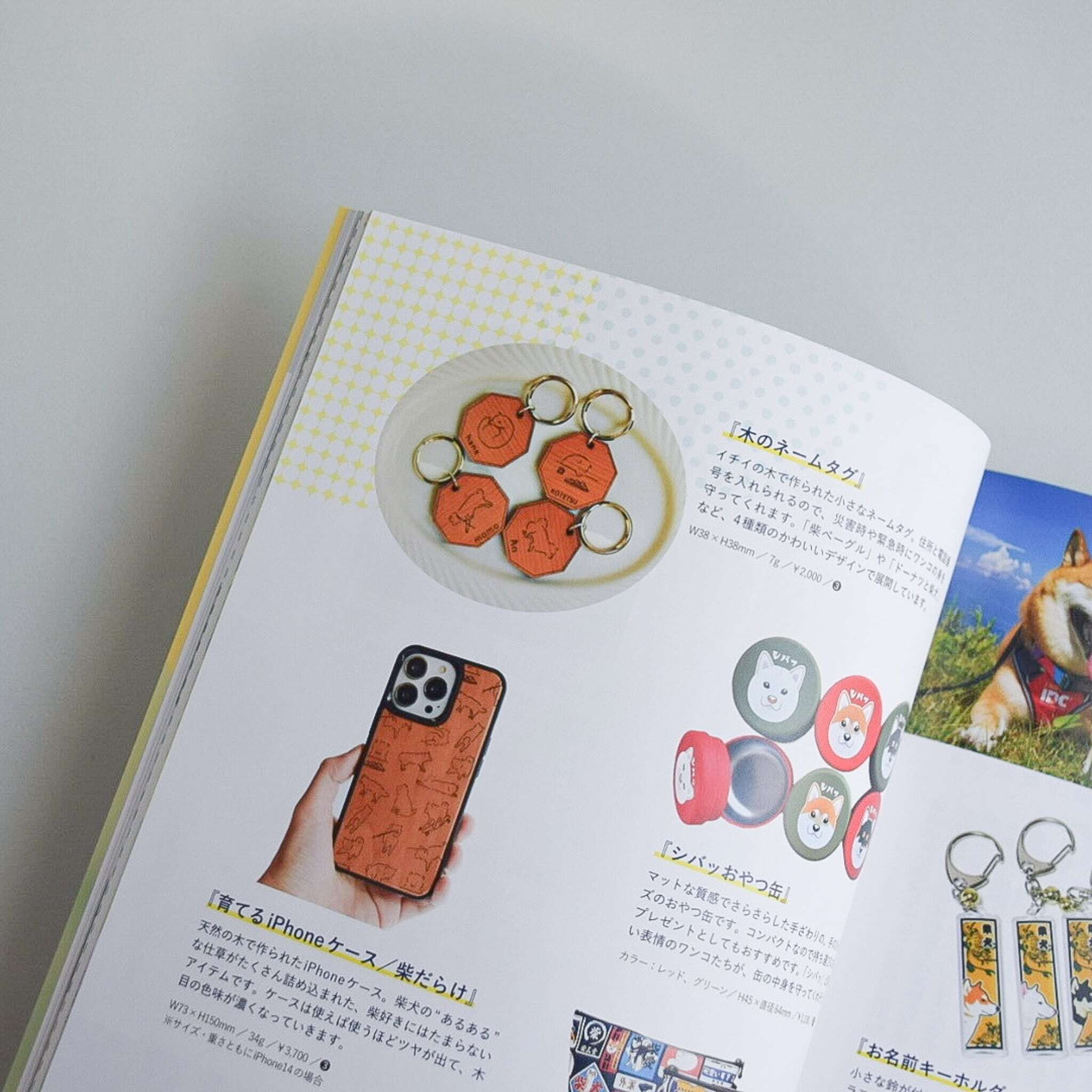 『Wan 1月号』の雑誌に掲載していただきました。