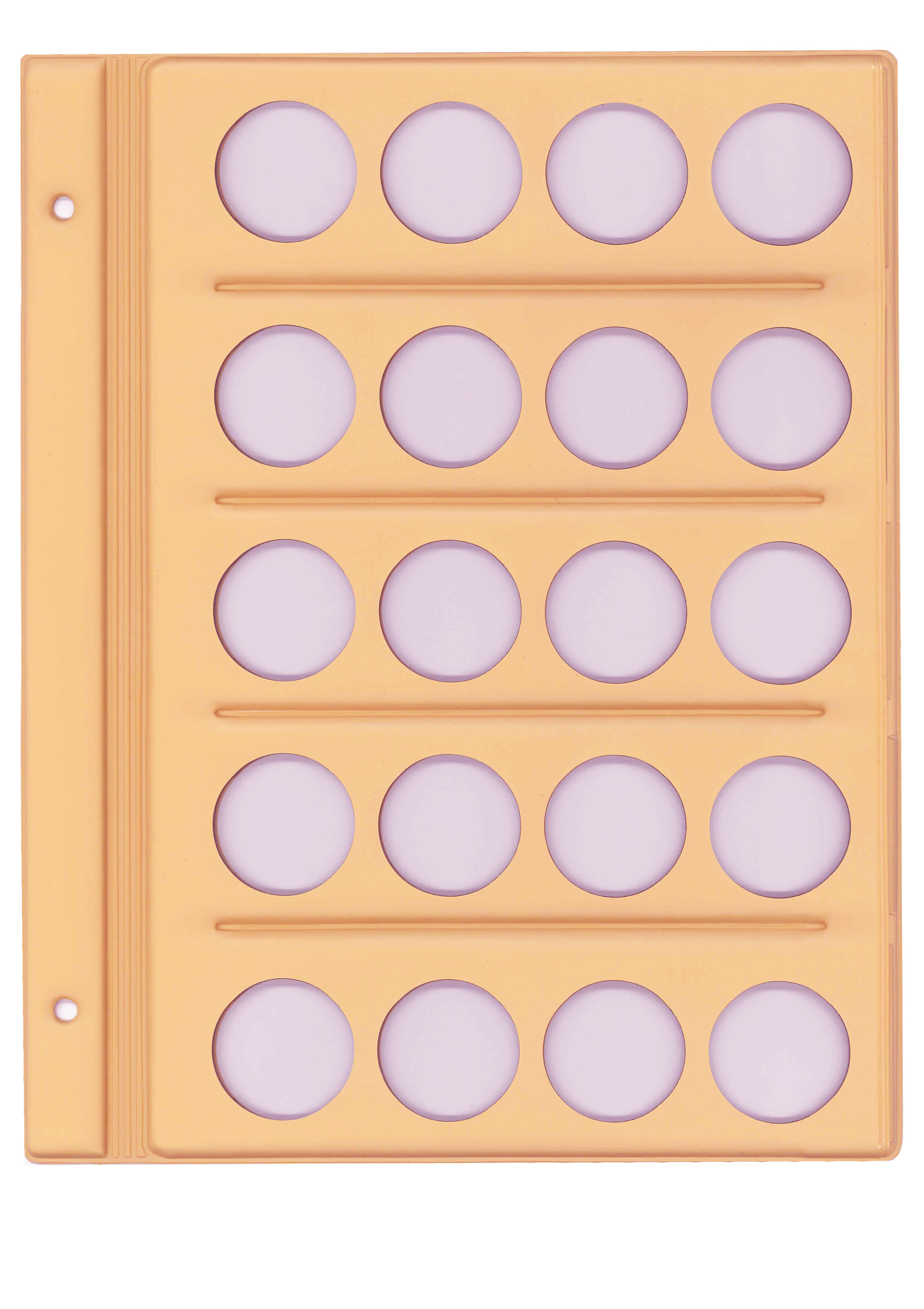 C-31S8　31ｍｍ用台紙5枚入り