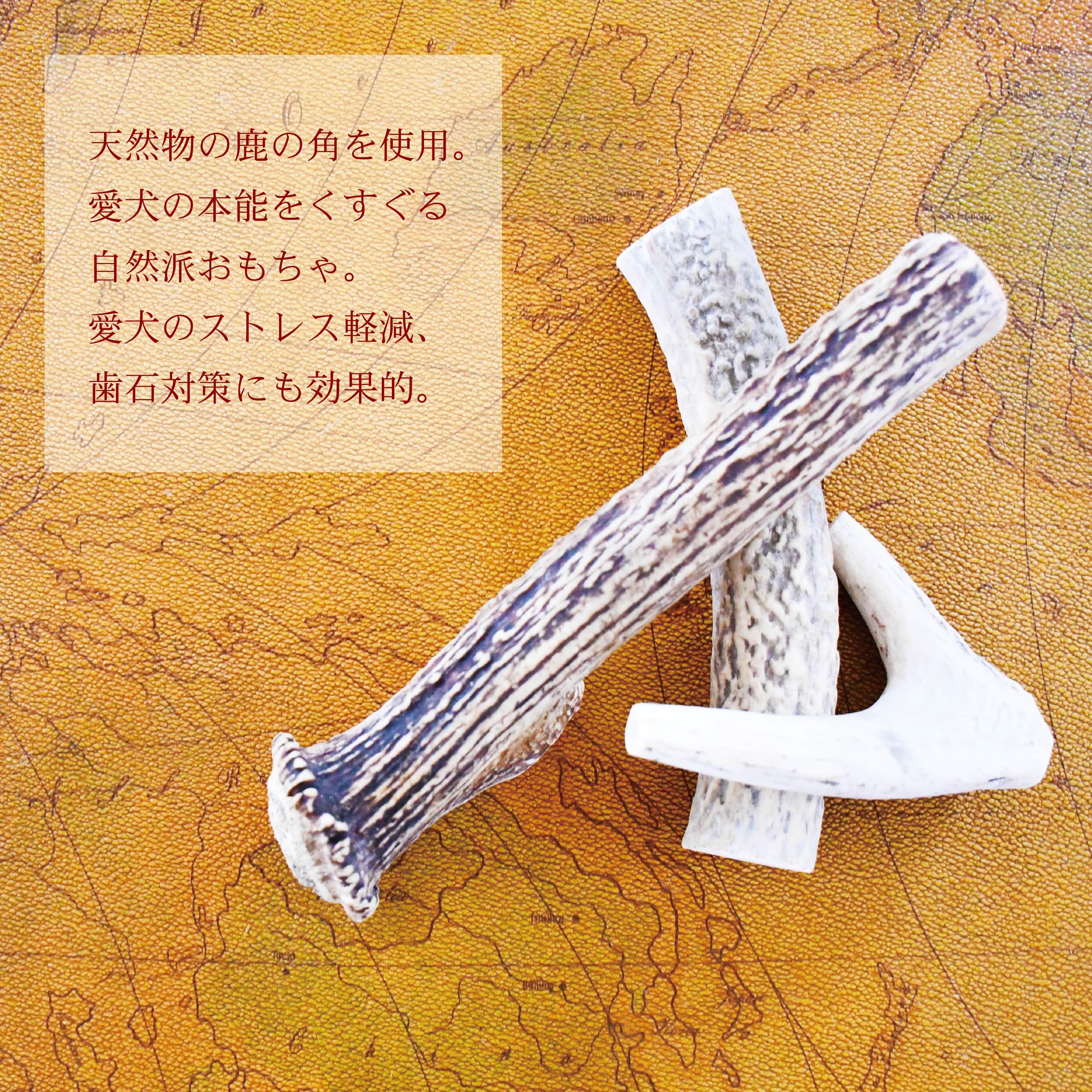 歯石対策にも効果を発揮。