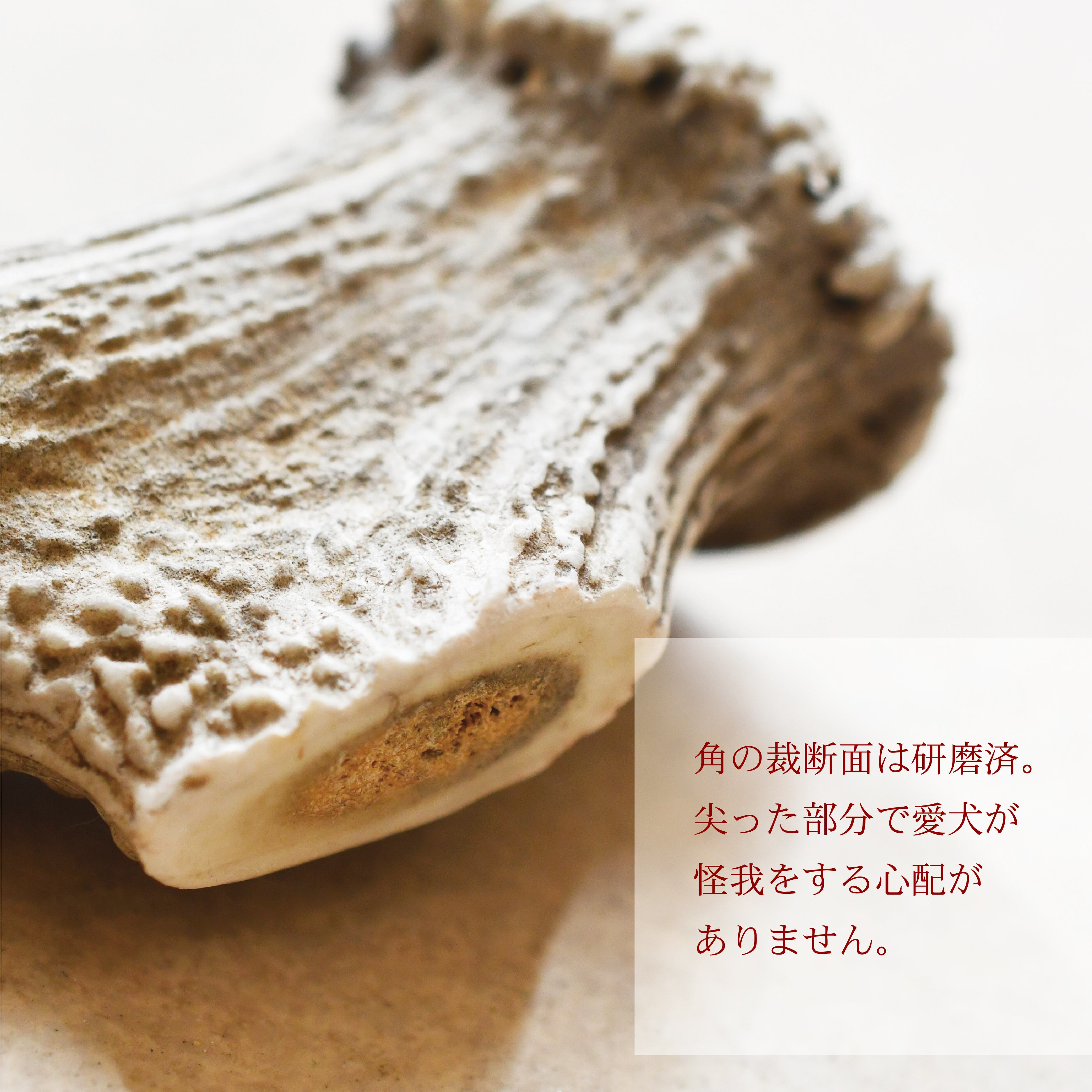 裁断面は研磨済みで安心