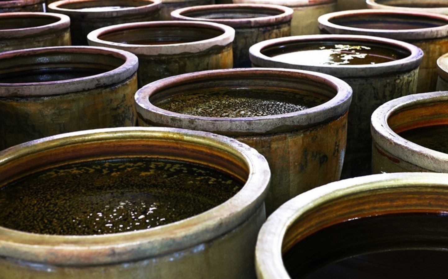03　発酵・熟成 酵母菌・乳酸菌・麹菌などの微生物を使用。約1年かけて陶製の甕を使用して発酵。