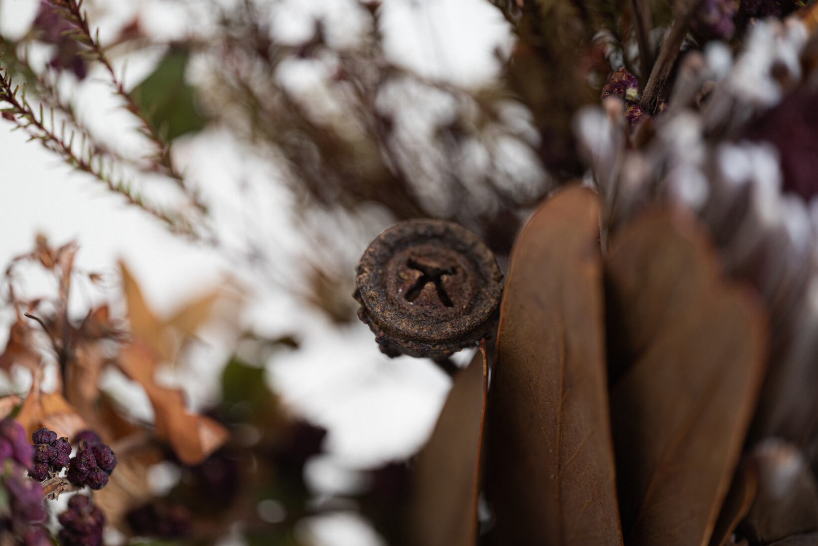 キャプション１