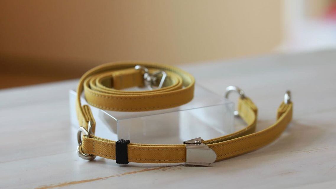 山吹（キャメル）