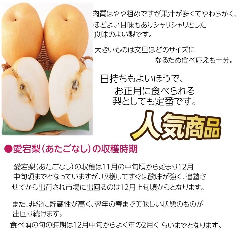 福島県産 早期予約販売 贈答品 国産和梨 愛宕 ５kg 箱 送料無料 産地直送 こだわり市場