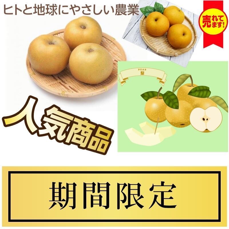 福島県産 早期予約販売 贈答品 国産和梨 愛宕 ５kg 箱 送料無料 産地直送 こだわり市場