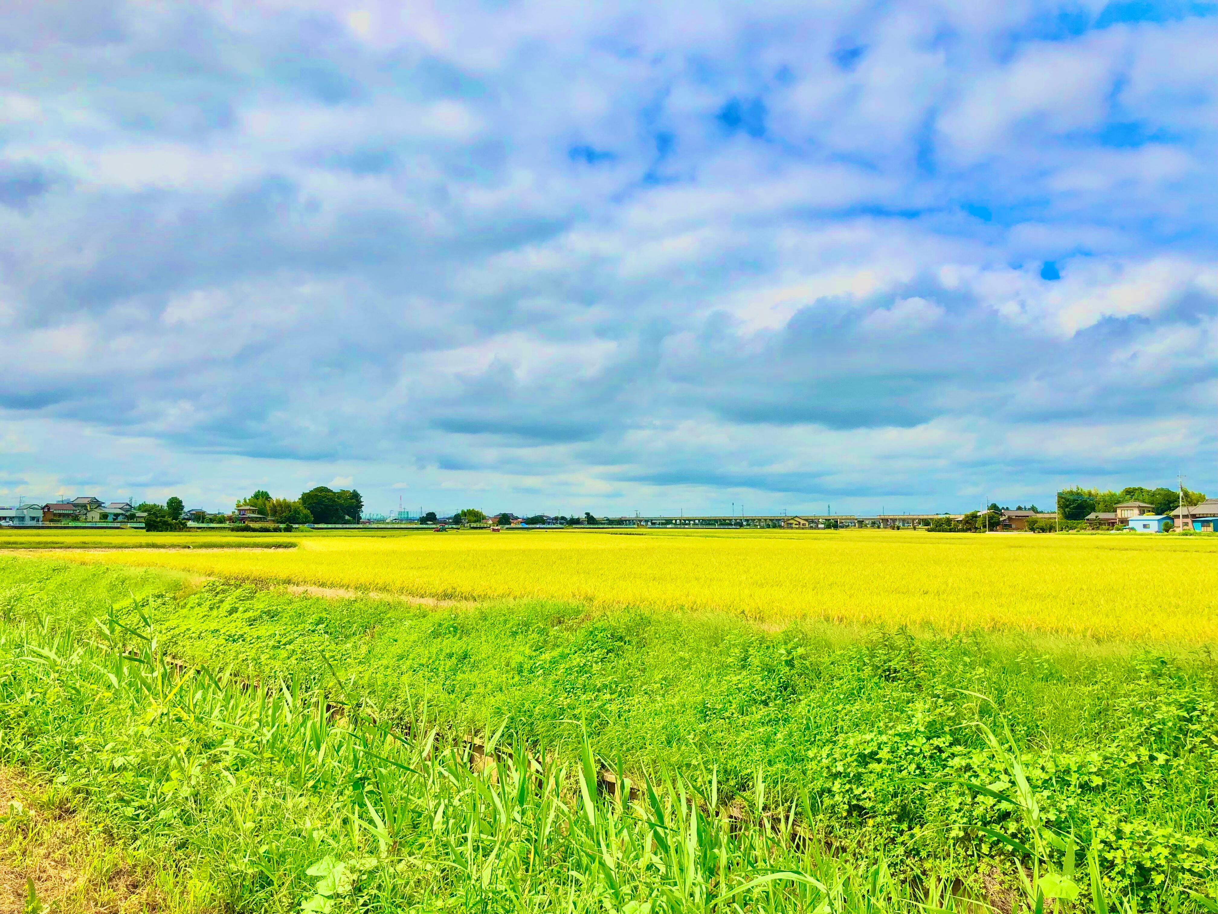 丹精込めて作り続け150年。