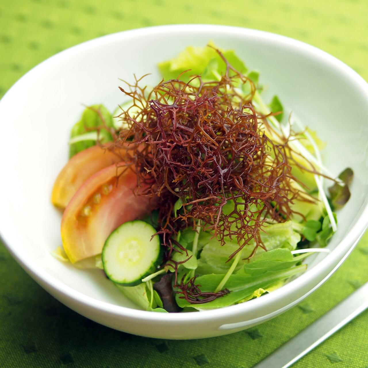 天日干しふのり 国内産・手摘み | ザマうま・ラッシュ 高知県四万十の