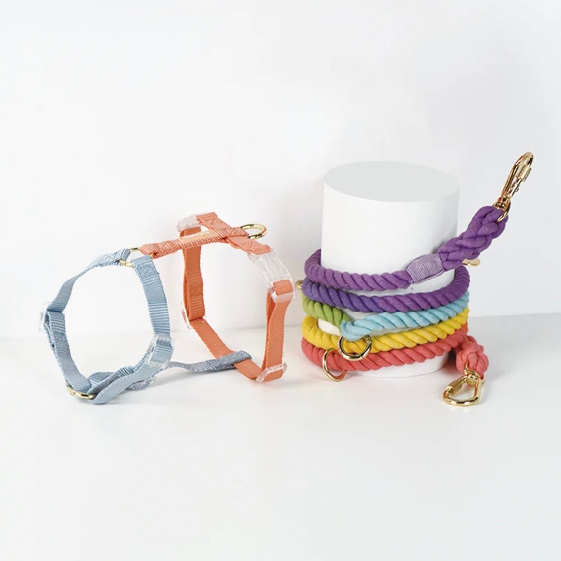 ラミューン×セブンマジック