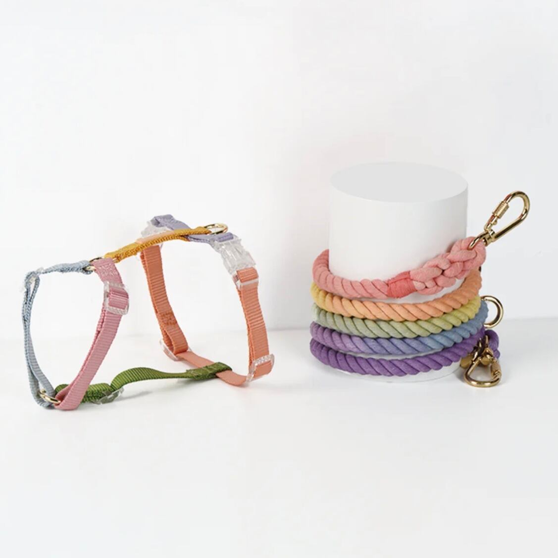 レインボー×レインボー