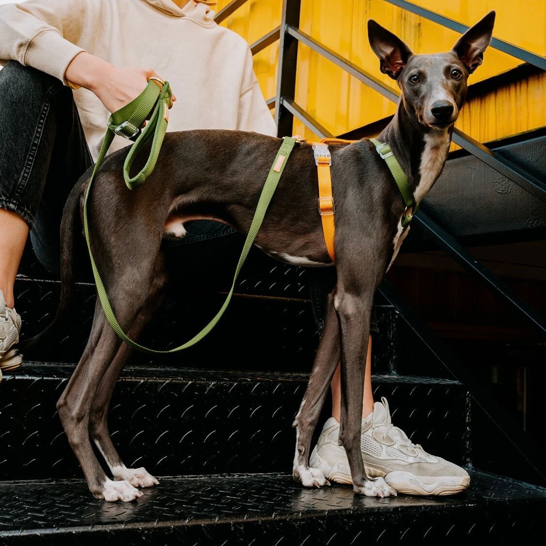 セントラルパーク