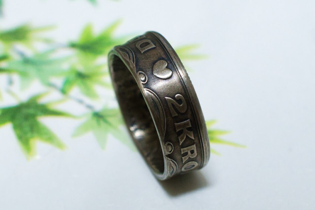 オプションデザイン：【 B 】