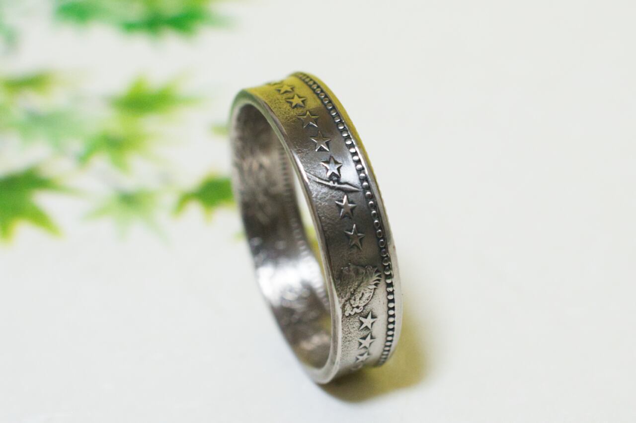 鏡面仕上げ【スリムタイプ】