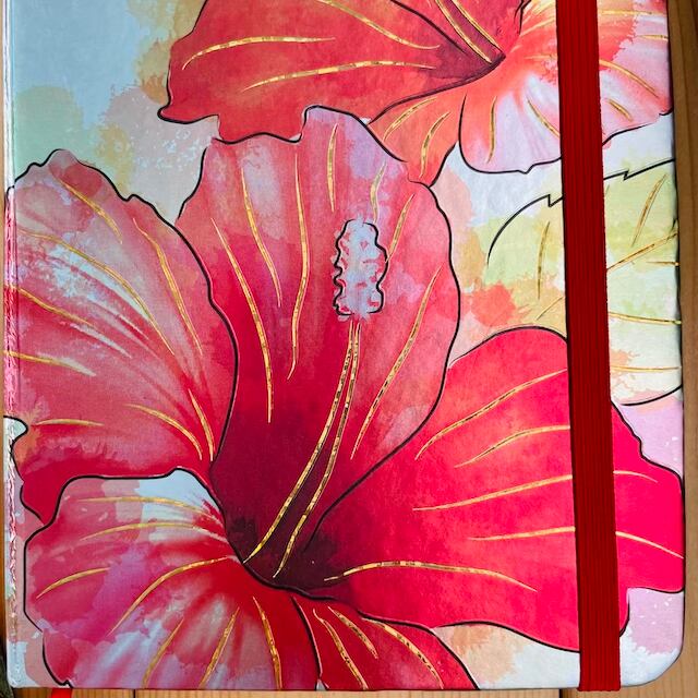 水彩画のような優しい雰囲気のハイビスカス。バンドのゴムとしおりは赤です。