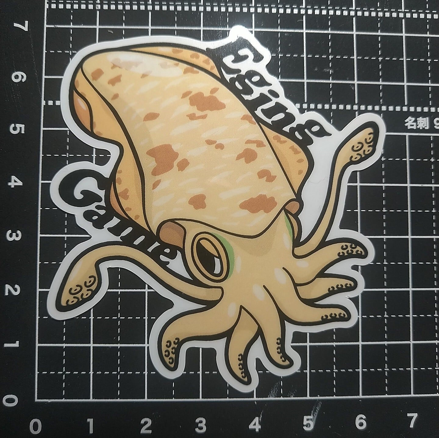 クーラーボックス、タックルボックスに！