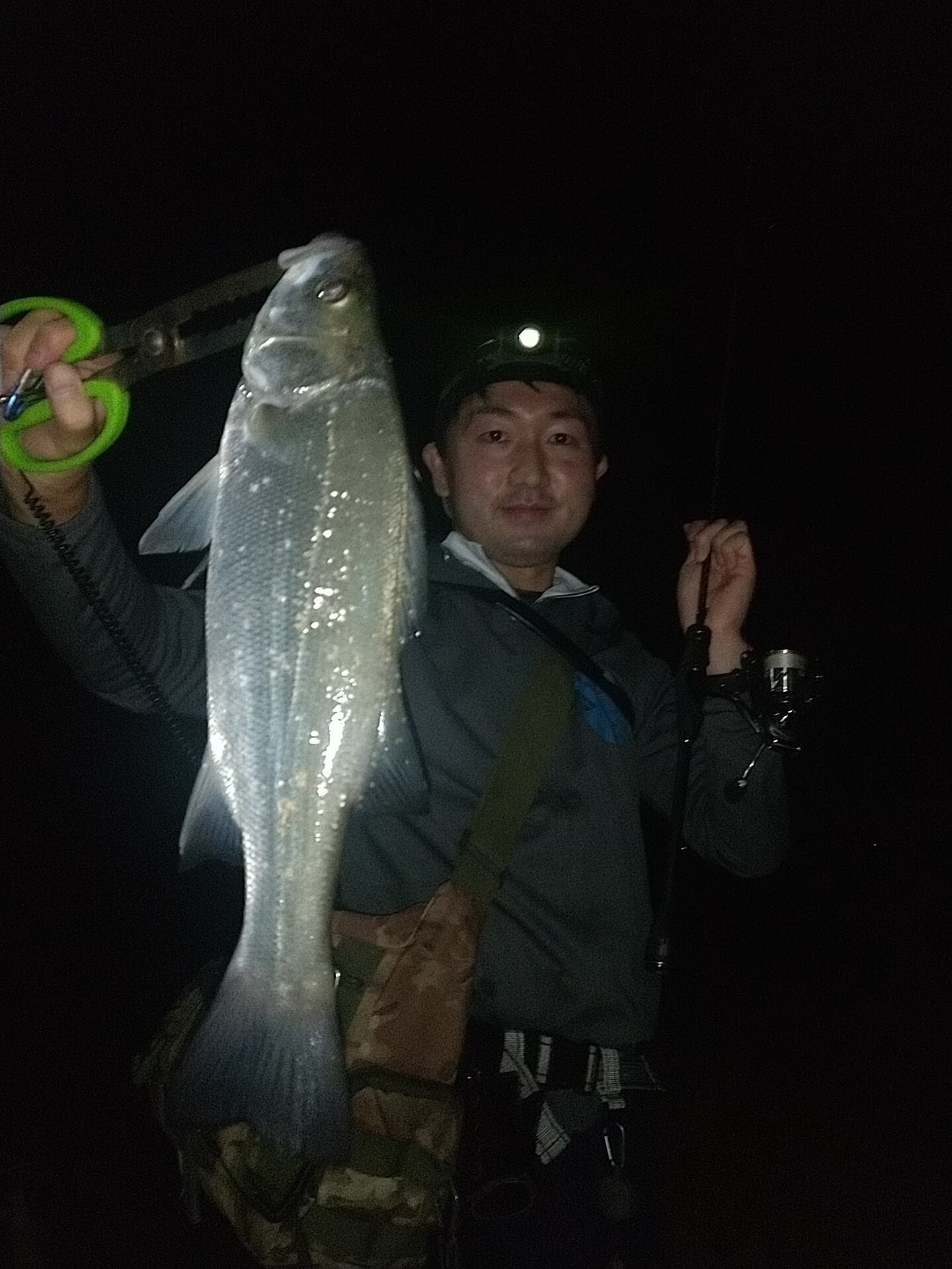 小粒なワームだから小さい魚用といワケではない！