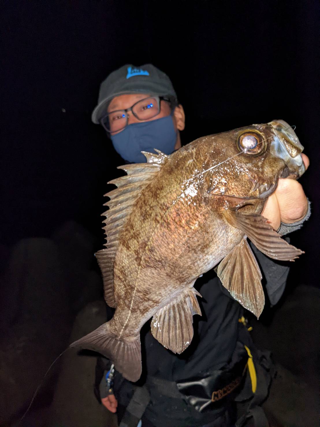 メバルにはマストアイテム！